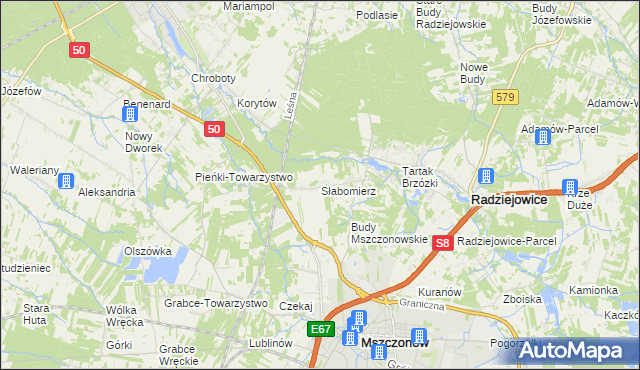 mapa Słabomierz gmina Radziejowice, Słabomierz gmina Radziejowice na mapie Targeo