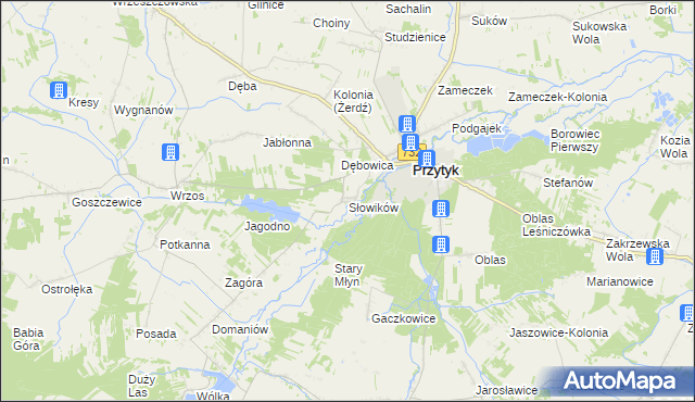 mapa Słowików gmina Przytyk, Słowików gmina Przytyk na mapie Targeo