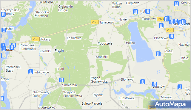 mapa Smolniki gmina Ślesin, Smolniki gmina Ślesin na mapie Targeo