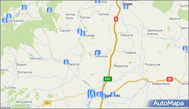 mapa Sokolniki gmina Łagiewniki, Sokolniki gmina Łagiewniki na mapie Targeo