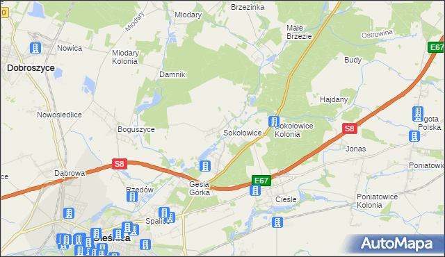 mapa Sokołowice gmina Oleśnica, Sokołowice gmina Oleśnica na mapie Targeo