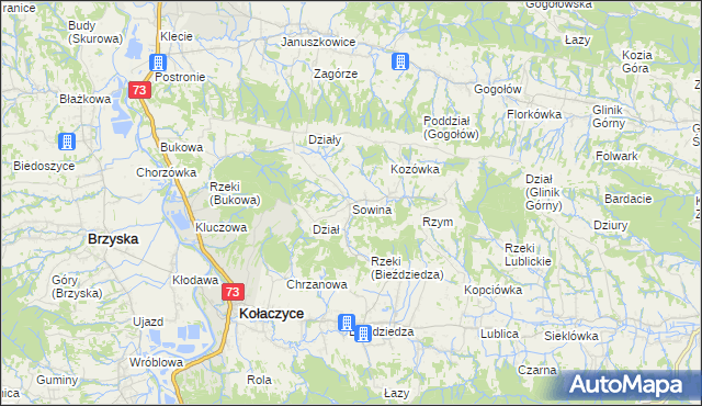 mapa Sowina gmina Kołaczyce, Sowina gmina Kołaczyce na mapie Targeo
