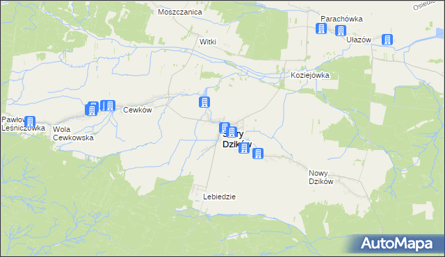 mapa Stary Dzików, Stary Dzików na mapie Targeo