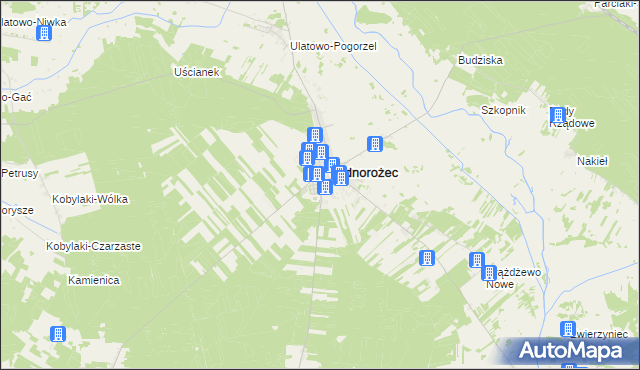 mapa Stegna gmina Jednorożec, Stegna gmina Jednorożec na mapie Targeo