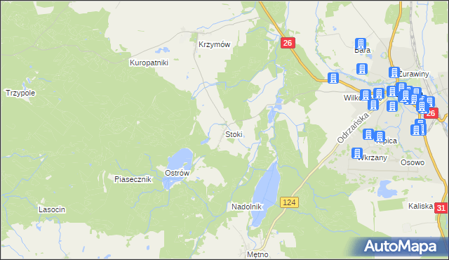 mapa Stoki gmina Chojna, Stoki gmina Chojna na mapie Targeo