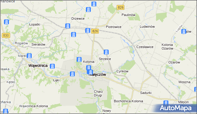 mapa Strzelce gmina Nałęczów, Strzelce gmina Nałęczów na mapie Targeo