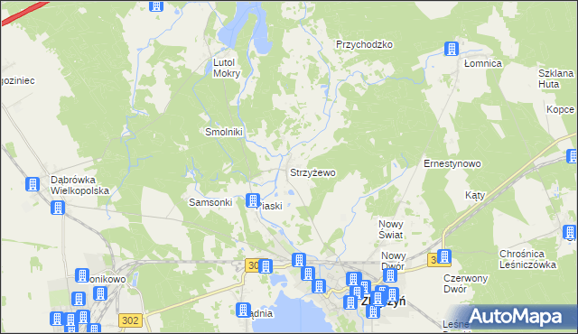 mapa Strzyżewo gmina Zbąszyń, Strzyżewo gmina Zbąszyń na mapie Targeo