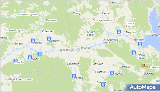 mapa Suszcza, Suszcza na mapie Targeo