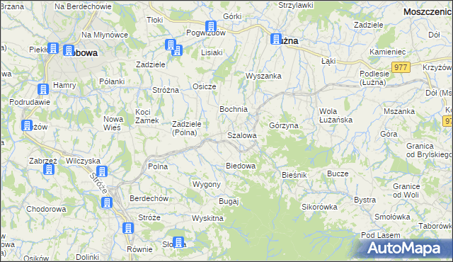 mapa Szalowa, Szalowa na mapie Targeo