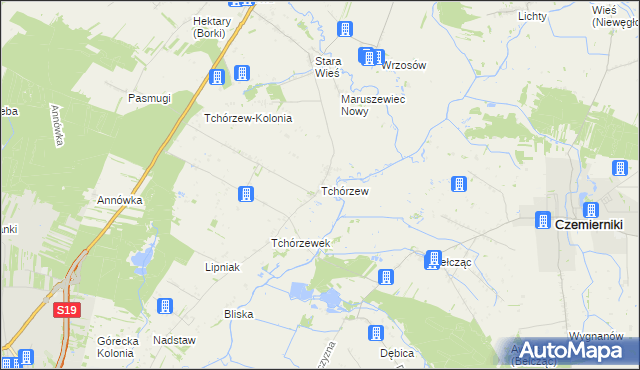 mapa Tchórzew gmina Borki, Tchórzew gmina Borki na mapie Targeo