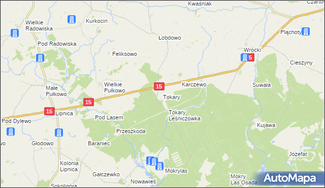 mapa Tokary gmina Golub-Dobrzyń, Tokary gmina Golub-Dobrzyń na mapie Targeo