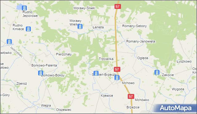 mapa Trzcianka gmina Przasnysz, Trzcianka gmina Przasnysz na mapie Targeo