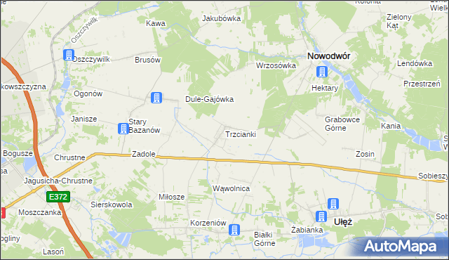 mapa Trzcianki gmina Nowodwór, Trzcianki gmina Nowodwór na mapie Targeo
