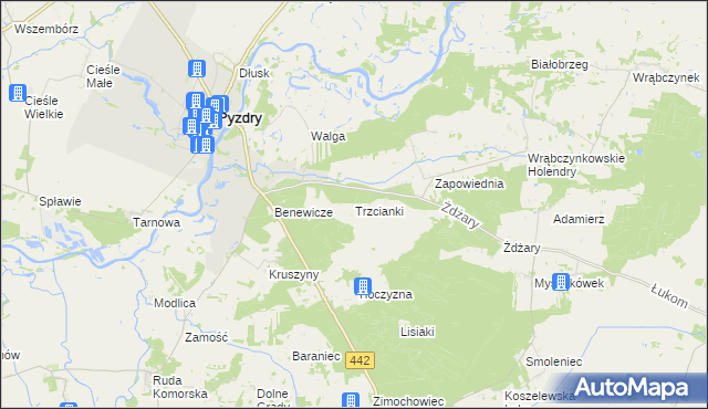 mapa Trzcianki gmina Pyzdry, Trzcianki gmina Pyzdry na mapie Targeo