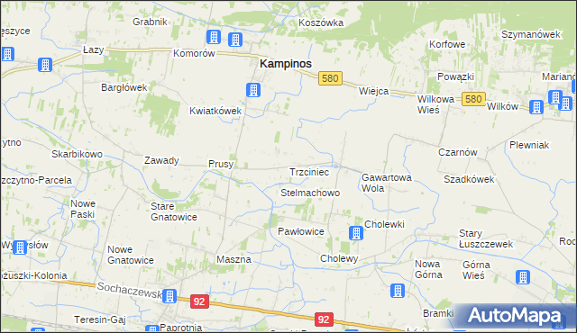 mapa Trzciniec gmina Leszno, Trzciniec gmina Leszno na mapie Targeo