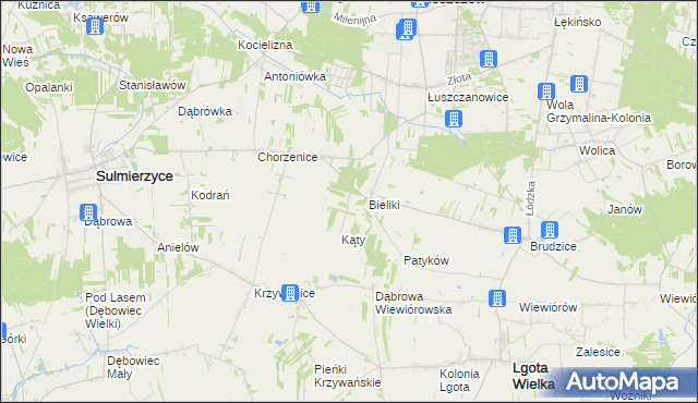 mapa Trzciniec gmina Sulmierzyce, Trzciniec gmina Sulmierzyce na mapie Targeo