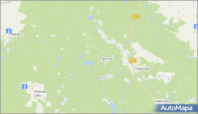 mapa Trzcinno gmina Człopa, Trzcinno gmina Człopa na mapie Targeo
