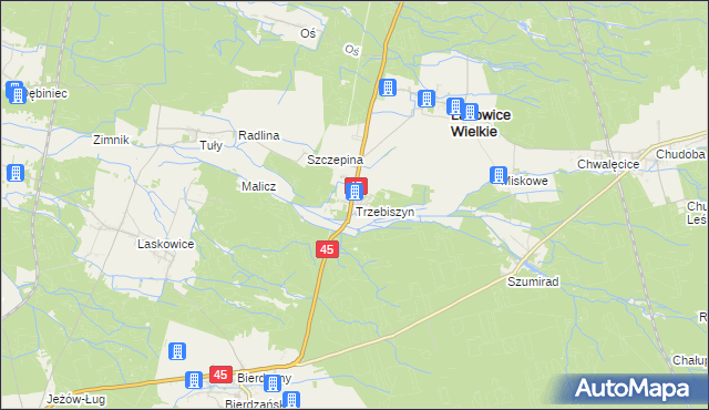 mapa Trzebiszyn gmina Lasowice Wielkie, Trzebiszyn gmina Lasowice Wielkie na mapie Targeo