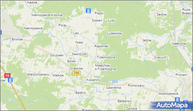 mapa Trzemoszna, Trzemoszna na mapie Targeo
