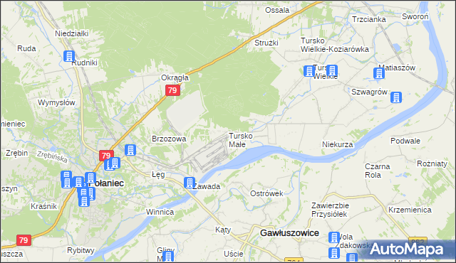 mapa Tursko Małe, Tursko Małe na mapie Targeo