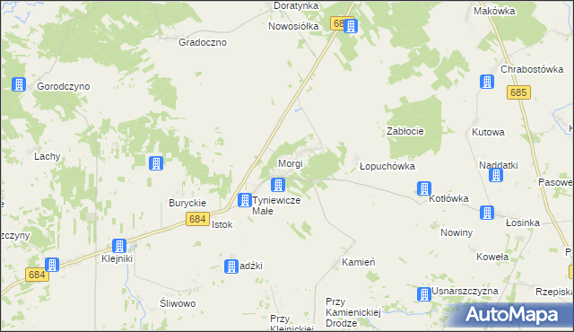 mapa Tyniewicze Duże, Tyniewicze Duże na mapie Targeo
