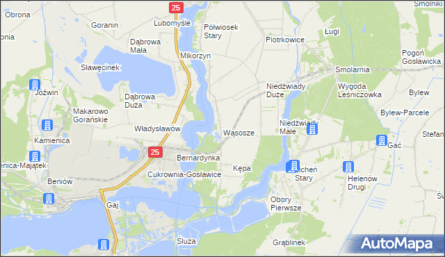 mapa Wąsosze gmina Ślesin, Wąsosze gmina Ślesin na mapie Targeo
