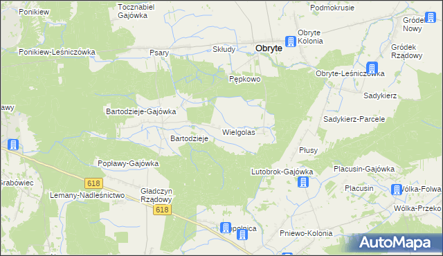mapa Wielgolas gmina Obryte, Wielgolas gmina Obryte na mapie Targeo