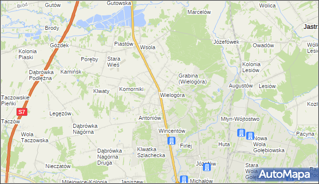 mapa Wielogóra gmina Jedlińsk, Wielogóra gmina Jedlińsk na mapie Targeo