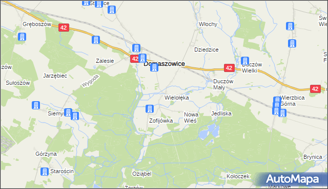 mapa Wielołęka gmina Domaszowice, Wielołęka gmina Domaszowice na mapie Targeo