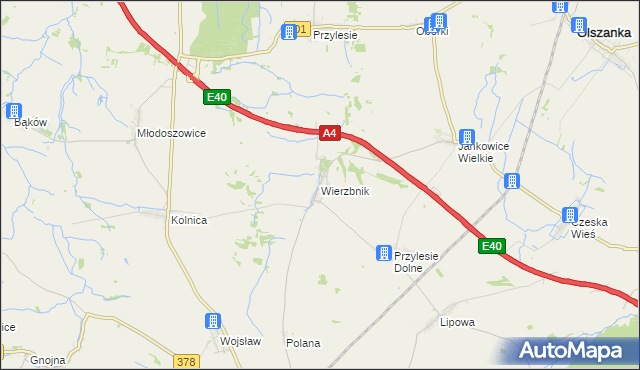 mapa Wierzbnik gmina Grodków, Wierzbnik gmina Grodków na mapie Targeo
