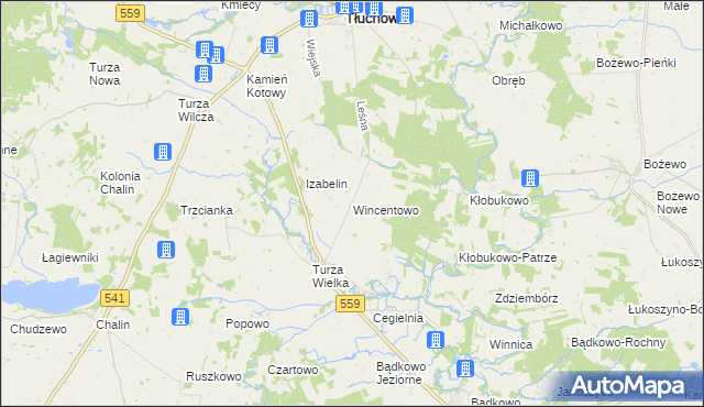 mapa Wincentowo gmina Brudzeń Duży, Wincentowo gmina Brudzeń Duży na mapie Targeo