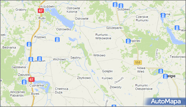 mapa Witkowo gmina Wielgie, Witkowo gmina Wielgie na mapie Targeo