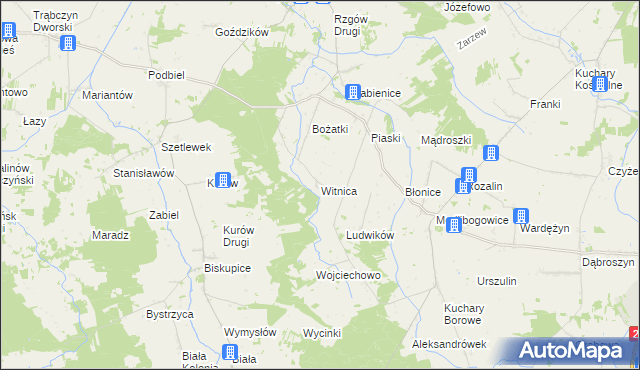 mapa Witnica gmina Rzgów, Witnica gmina Rzgów na mapie Targeo
