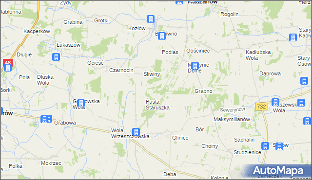 mapa Witoldów gmina Przytyk, Witoldów gmina Przytyk na mapie Targeo