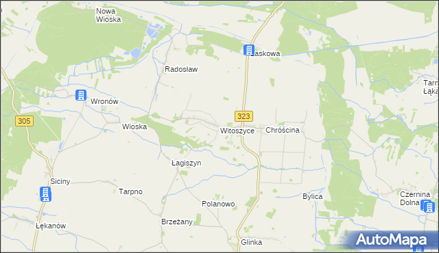 mapa Witoszyce, Witoszyce na mapie Targeo