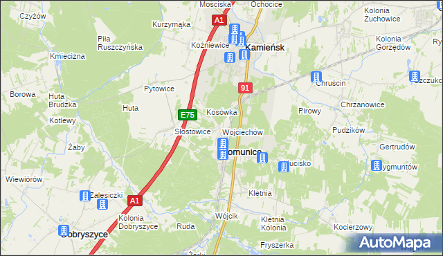 mapa Wojciechów gmina Gomunice, Wojciechów gmina Gomunice na mapie Targeo