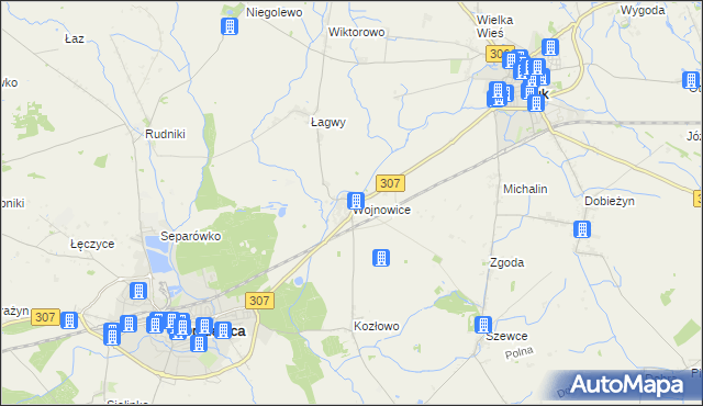 mapa Wojnowice gmina Opalenica, Wojnowice gmina Opalenica na mapie Targeo