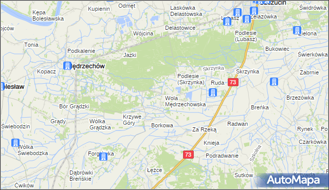 mapa Wola Mędrzechowska, Wola Mędrzechowska na mapie Targeo