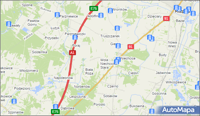 mapa Wola Niechcicka Stara, Wola Niechcicka Stara na mapie Targeo