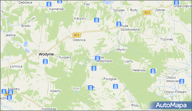 mapa Wola Wodyńska, Wola Wodyńska na mapie Targeo