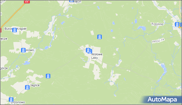 mapa Wołowe Lasy, Wołowe Lasy na mapie Targeo