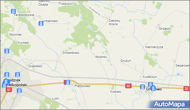 mapa Woźniki gmina Grodzisk Wielkopolski, Woźniki gmina Grodzisk Wielkopolski na mapie Targeo