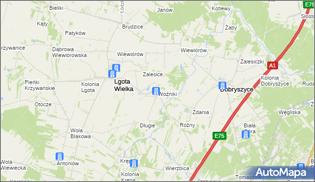 mapa Woźniki gmina Lgota Wielka, Woźniki gmina Lgota Wielka na mapie Targeo