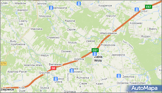 mapa Wycinki Osowskie, Wycinki Osowskie na mapie Targeo