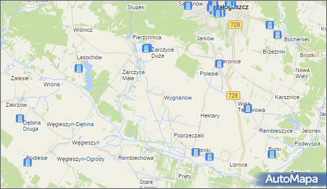 mapa Wygnanów gmina Małogoszcz, Wygnanów gmina Małogoszcz na mapie Targeo