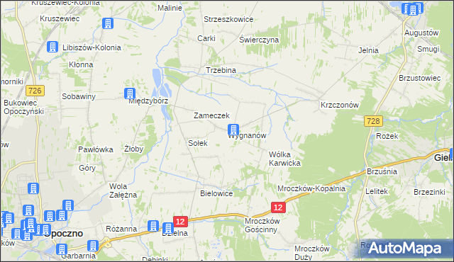 mapa Wygnanów gmina Opoczno, Wygnanów gmina Opoczno na mapie Targeo