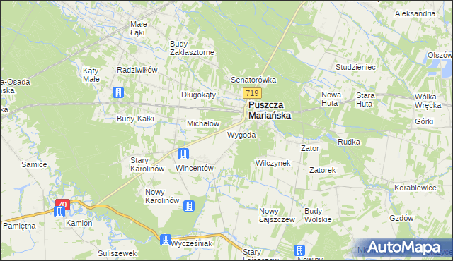mapa Wygoda gmina Puszcza Mariańska, Wygoda gmina Puszcza Mariańska na mapie Targeo