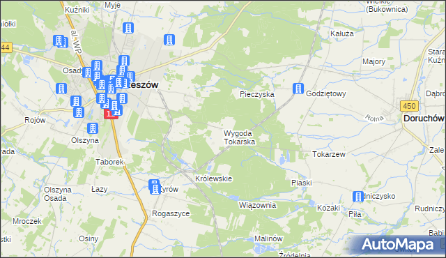mapa Wygoda Tokarska, Wygoda Tokarska na mapie Targeo