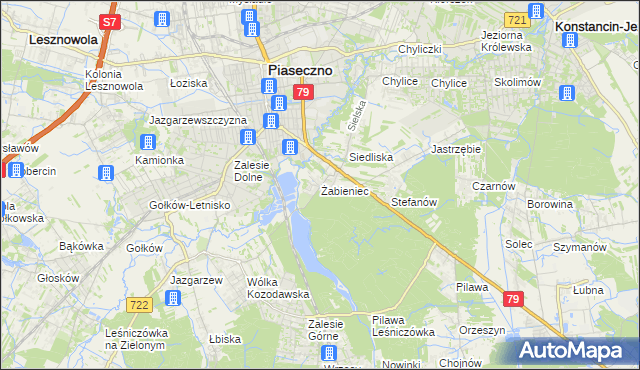 mapa Żabieniec gmina Piaseczno, Żabieniec gmina Piaseczno na mapie Targeo
