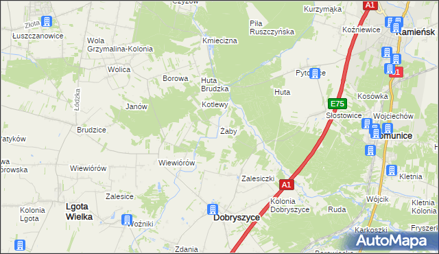 mapa Żaby gmina Dobryszyce, Żaby gmina Dobryszyce na mapie Targeo